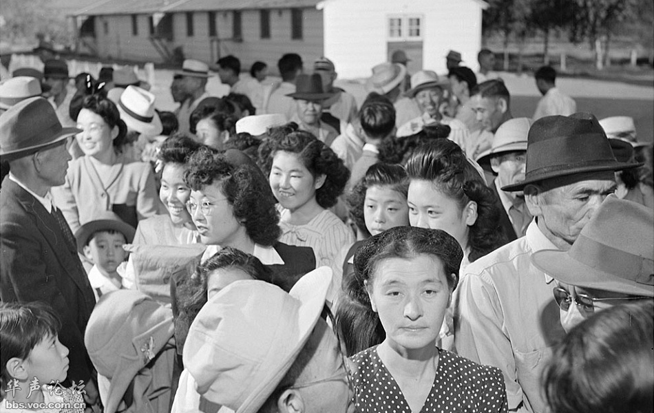 二战中被复仇的日裔美国人4