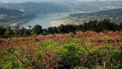 北碚金果园生态旅游区